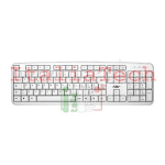 TASTIERA ADJ TA504 EASY KEYBOARD USB - 105 TASTI - COLORE BIANCO