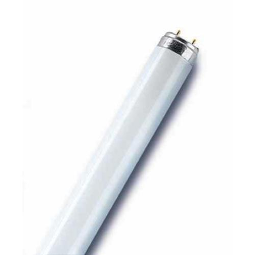 TUBO FLUORESCENTE BIOLUX 30W/965 LUCE SOLARE L3072